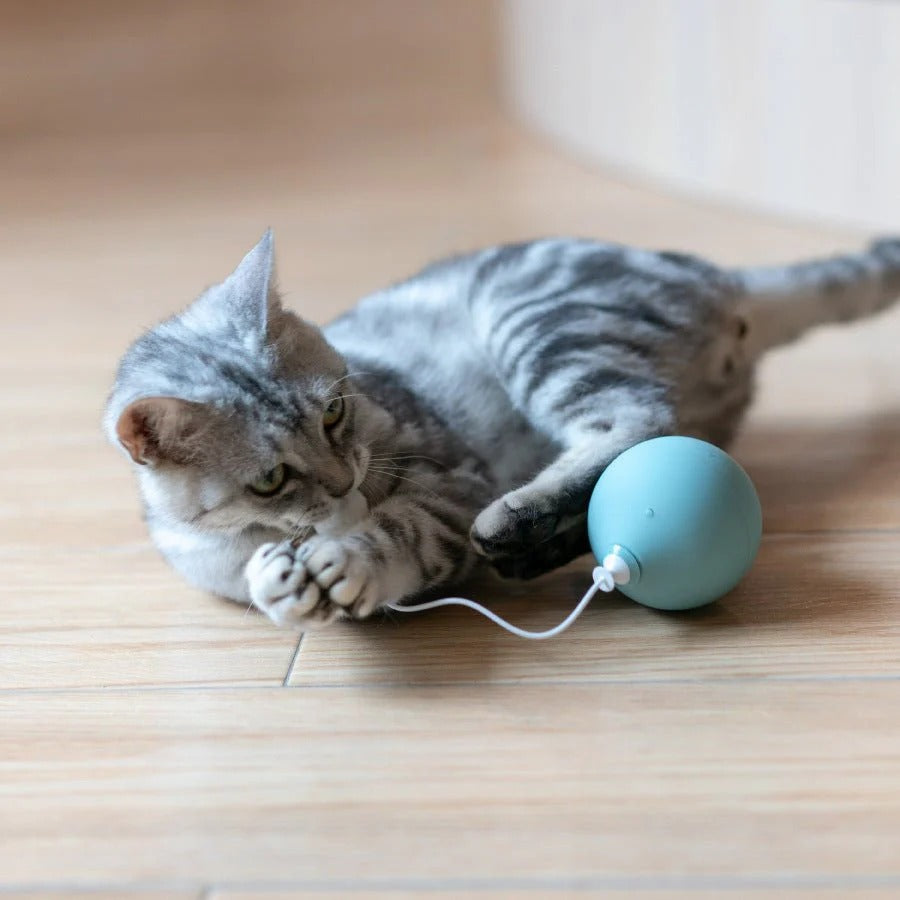 Cat Toys Mouse Teaser Ball Funny Moving Toy For Pets Cat Dog Electric Teaser Ball Automatic Intelligent Rolling Ball Pet Products