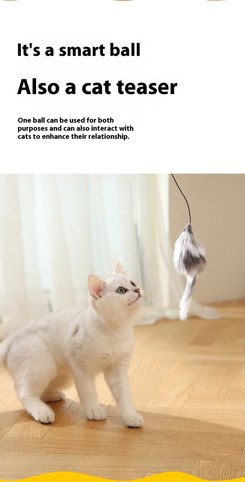 Cat Toys Mouse Teaser Ball Funny Moving Toy For Pets Cat Dog Electric Teaser Ball Automatic Intelligent Rolling Ball Pet Products