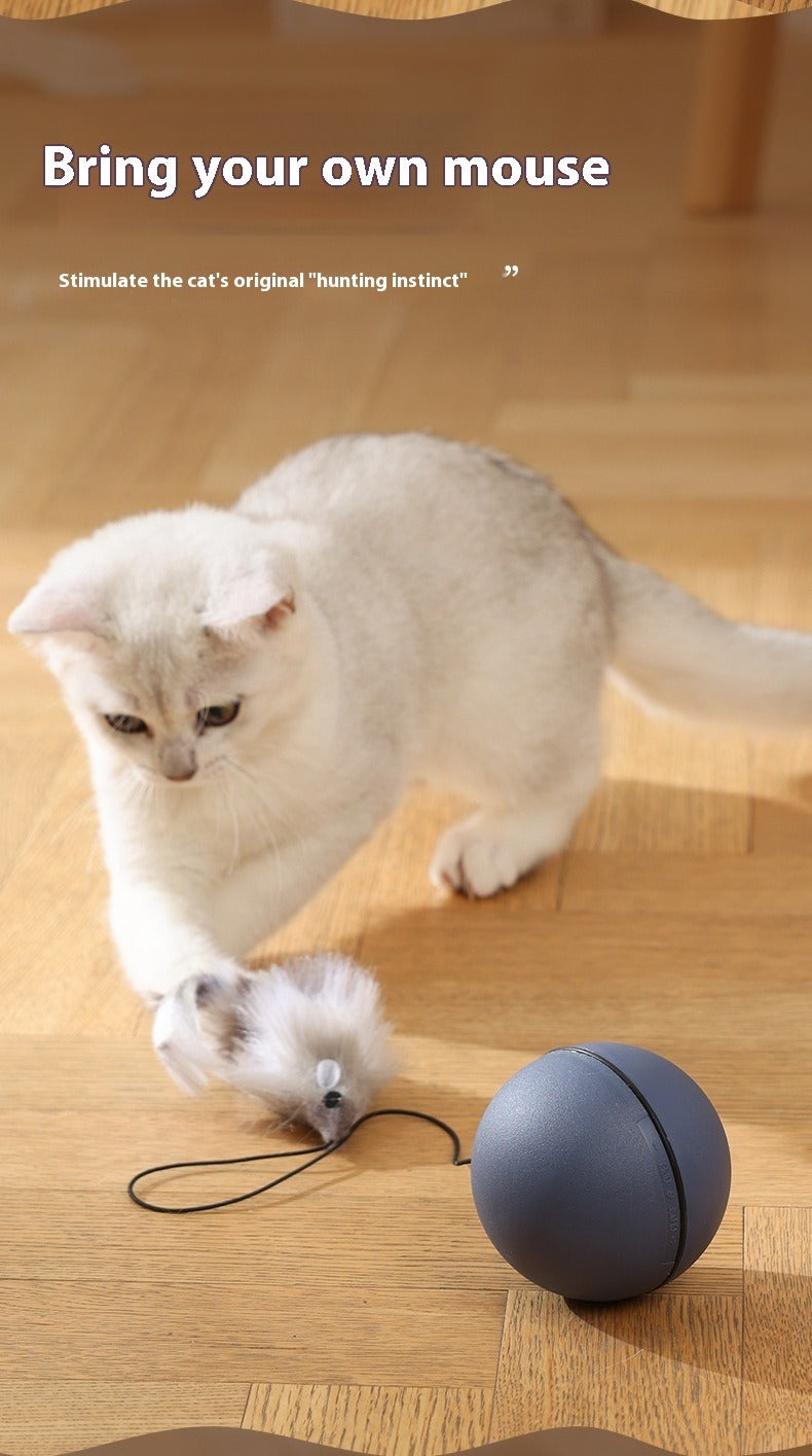 Cat Toys Mouse Teaser Ball Funny Moving Toy For Pets Cat Dog Electric Teaser Ball Automatic Intelligent Rolling Ball Pet Products